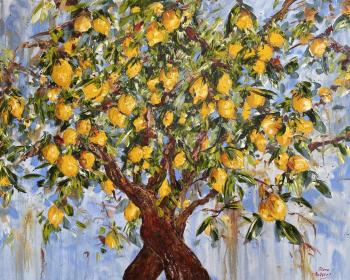 Lemon Tree. Malivani Diana