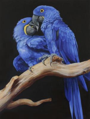 Parrots (Blue Parrots). Orfenova Tatyana