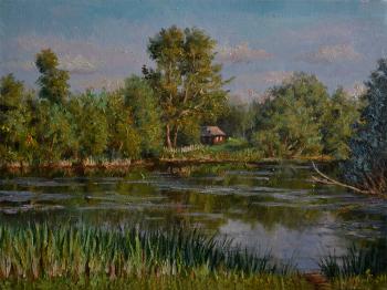 Pond in the village. Bakaeva Yulia