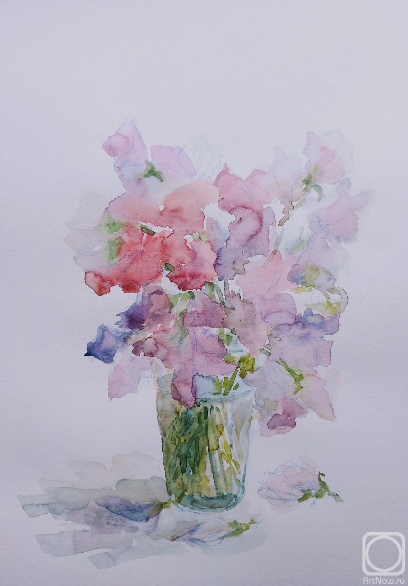 Klyan Elena. Sweet-pea