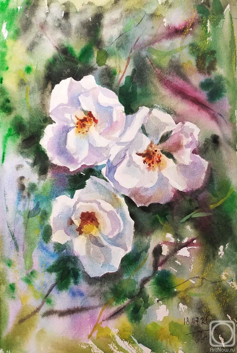 �������. ���� �����. ��������