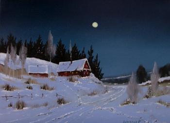 Moonlight evening. Laktaev Roman