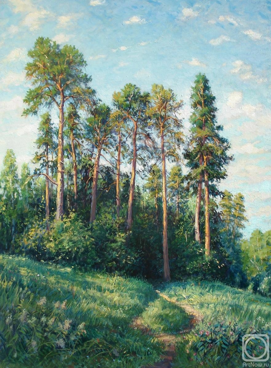 Kovalevscky Andrey. Pine trees. Morning. Izmailovo
