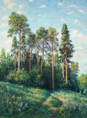 Pine trees. Morning. Izmailovo (Izmailovsky Park). Kovalevscky Andrey