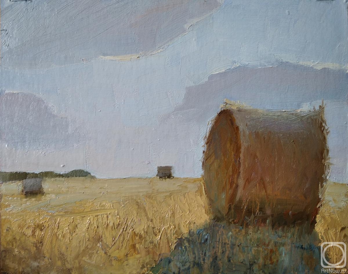 Rohlina Polina. Stack in the field