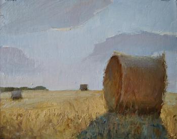 Stack in the field. Rohlina Polina