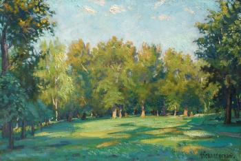 Sunny meadow. Kovalevscky Andrey