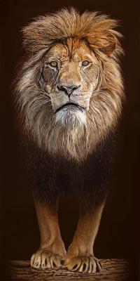 Lion. Elokhin Pavel