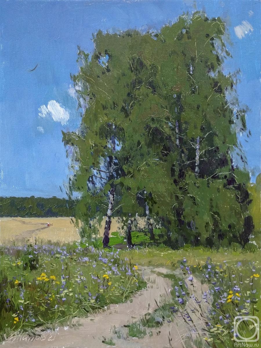 Zhilov Andrey. In the middle of summer