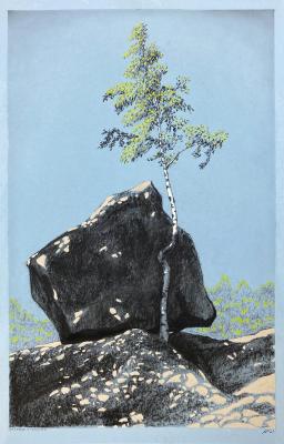 The Birch and Granite. Monakhov Ruben