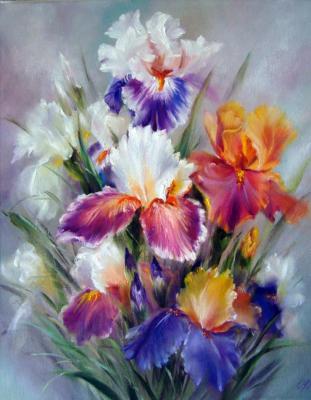 Colorful irises. Perminova ZHanna