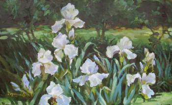 Irises