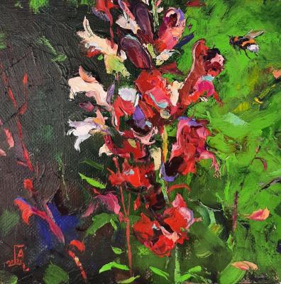 ������� �� �������� ����