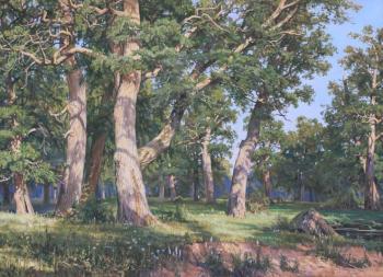 Copy of II Shishkin's painting "Oak Grove". Luchkina Olga