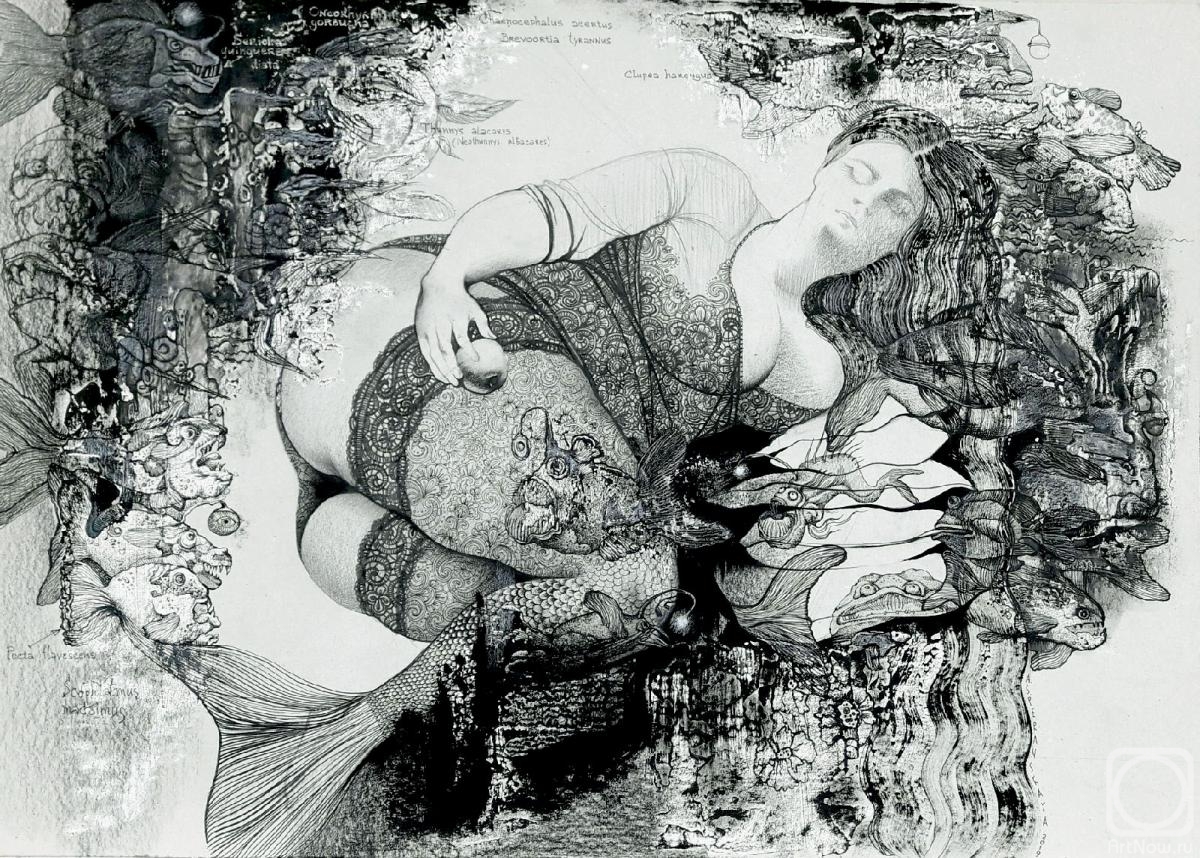 �������. ���������� ����������. ���� ������