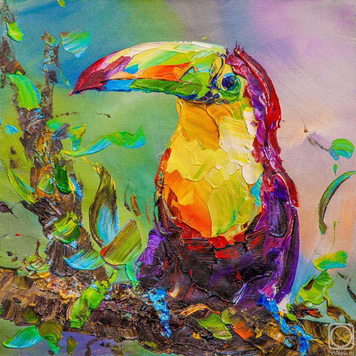 Rodries Jose. It's all about beauty. Toucan