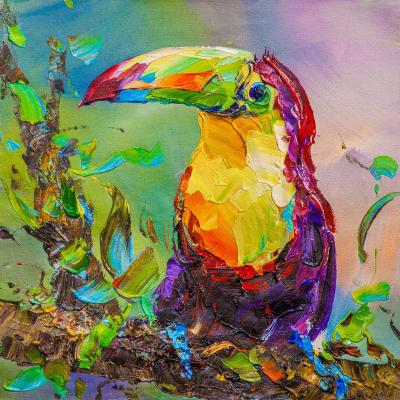 It's all about beauty. Toucan. Rodries Jose