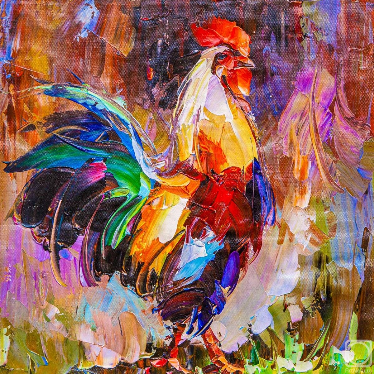 Rodries Jose. Bright rooster
