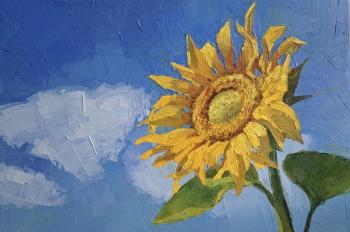 Sunflower. Rohlina Polina