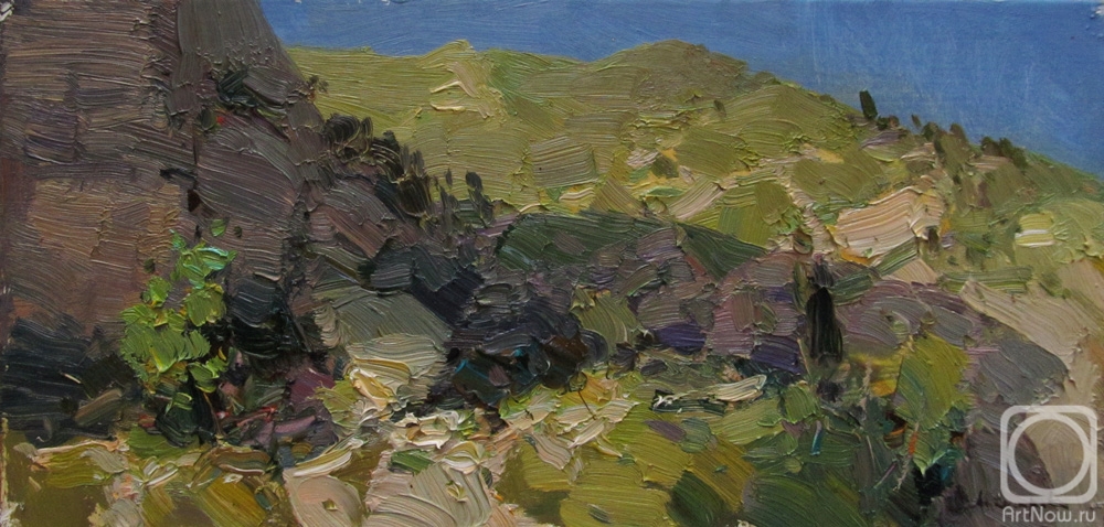 Makarov Vitaly. July evening in the mountains