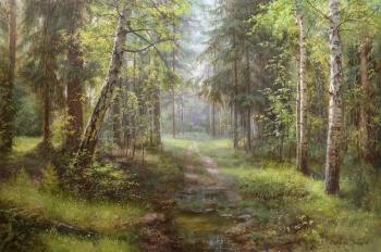 The sun in the forest. Zaytsev Vitaliy