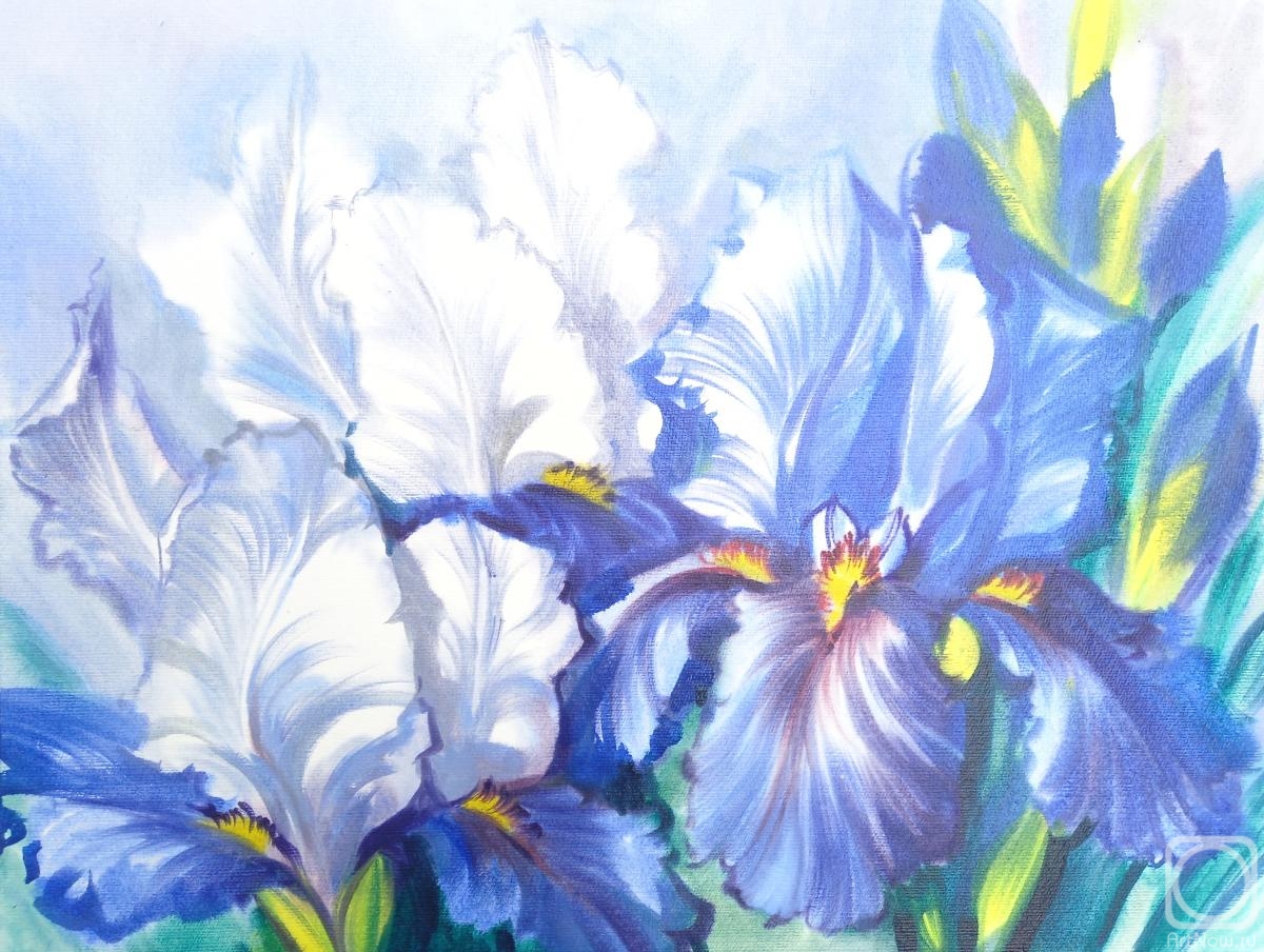 Mikhalskaya Katya. Irises bloomed