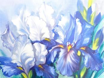Irises bloomed