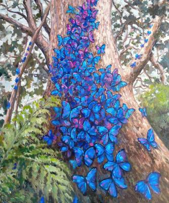 ������� �����. ��������� �������