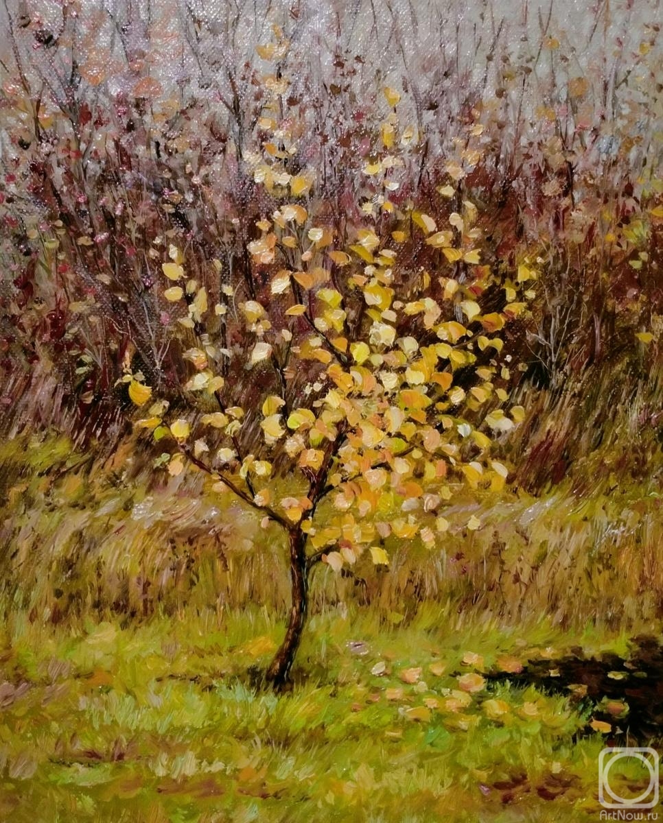 Mashechkina Evgeniya. Golden apple tree