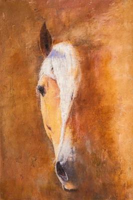 Pearl. Portrait of a horse. Kamskij Savelij