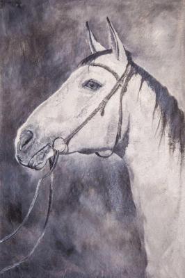 ���������� ����� (������� ��������). ������� �������