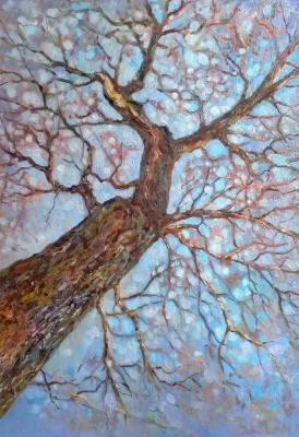 ������ ������. ��������� �������