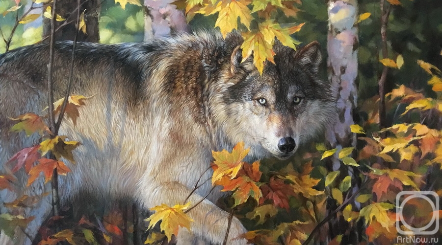 Medvedkin Evgeniy. Wolf. Autumn