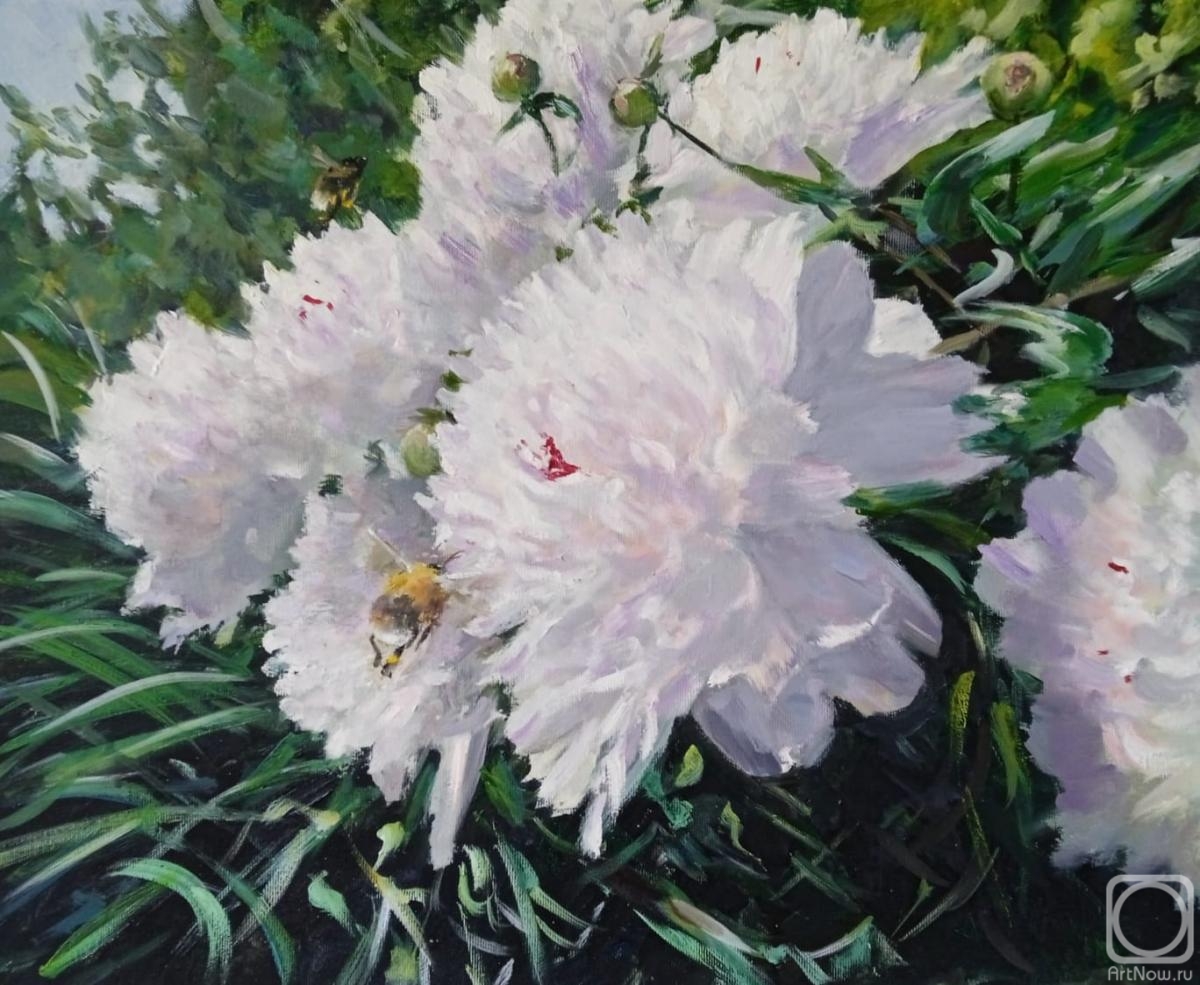 Korolev Andrey. Peonies and bumblebees