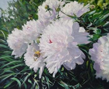 Peonies and bumblebees