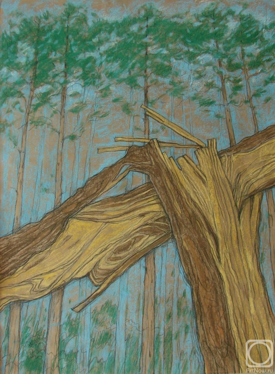 �������. �������� ������. �������� ���