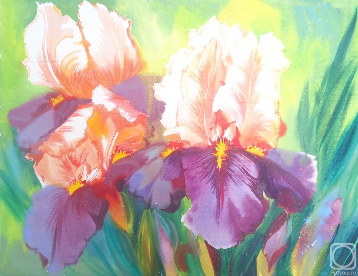 Mikhalskaya Katya. Irises in the sun