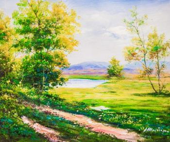 Summer day. View of the lake and mountains. Sharabarin Andrey