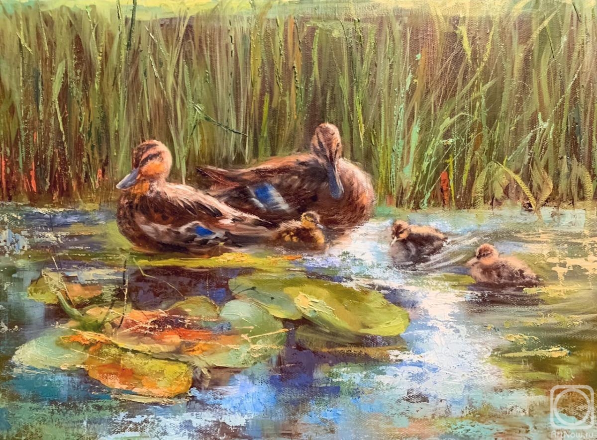 ������� ������ �� ������. ����� ������. ������ ������