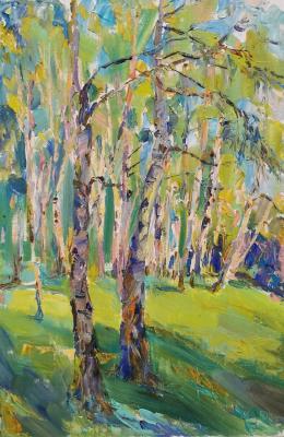 Birch trees. The living energy of spring