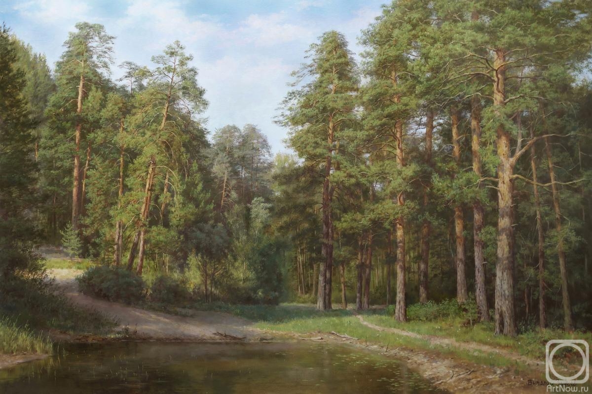 Zaytsev Vitaliy. Pine forest
