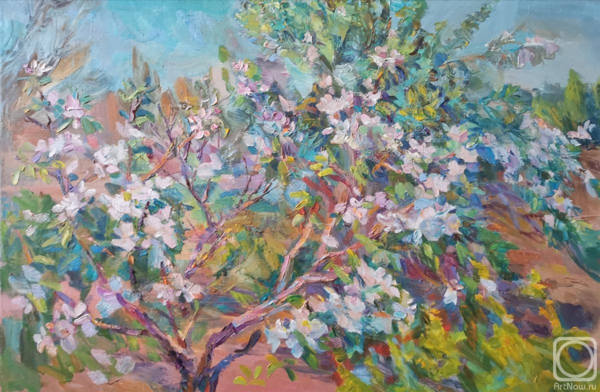 Mirgorod Irina. The apple tree is blooming