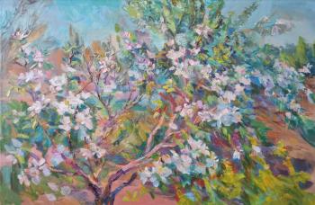 The apple tree is blooming. Mirgorod Irina