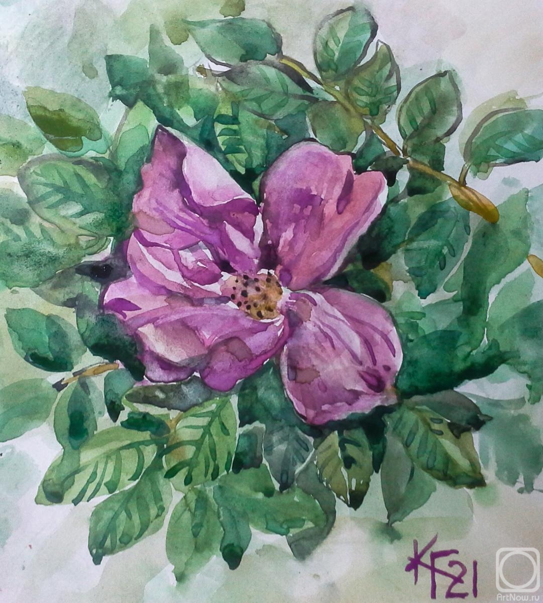 �������. �������� ������. �������� � ����� �������