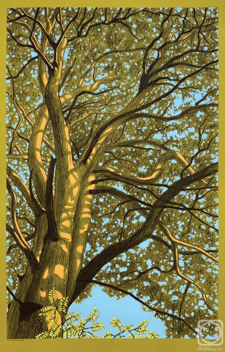 �������. ������� �����. �����