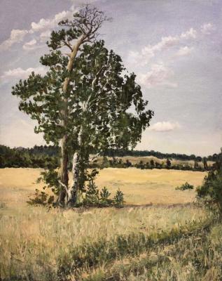 ������� ������� ������