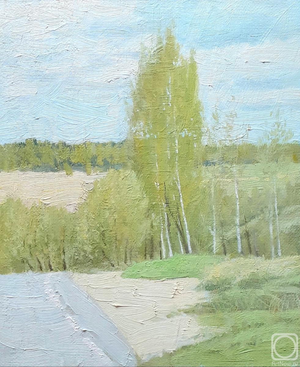 Toporkov Anatoliy. Spring landscape