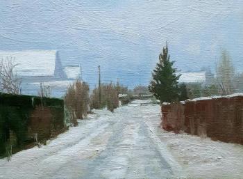 In winter at the dacha. Toporkov Anatoliy