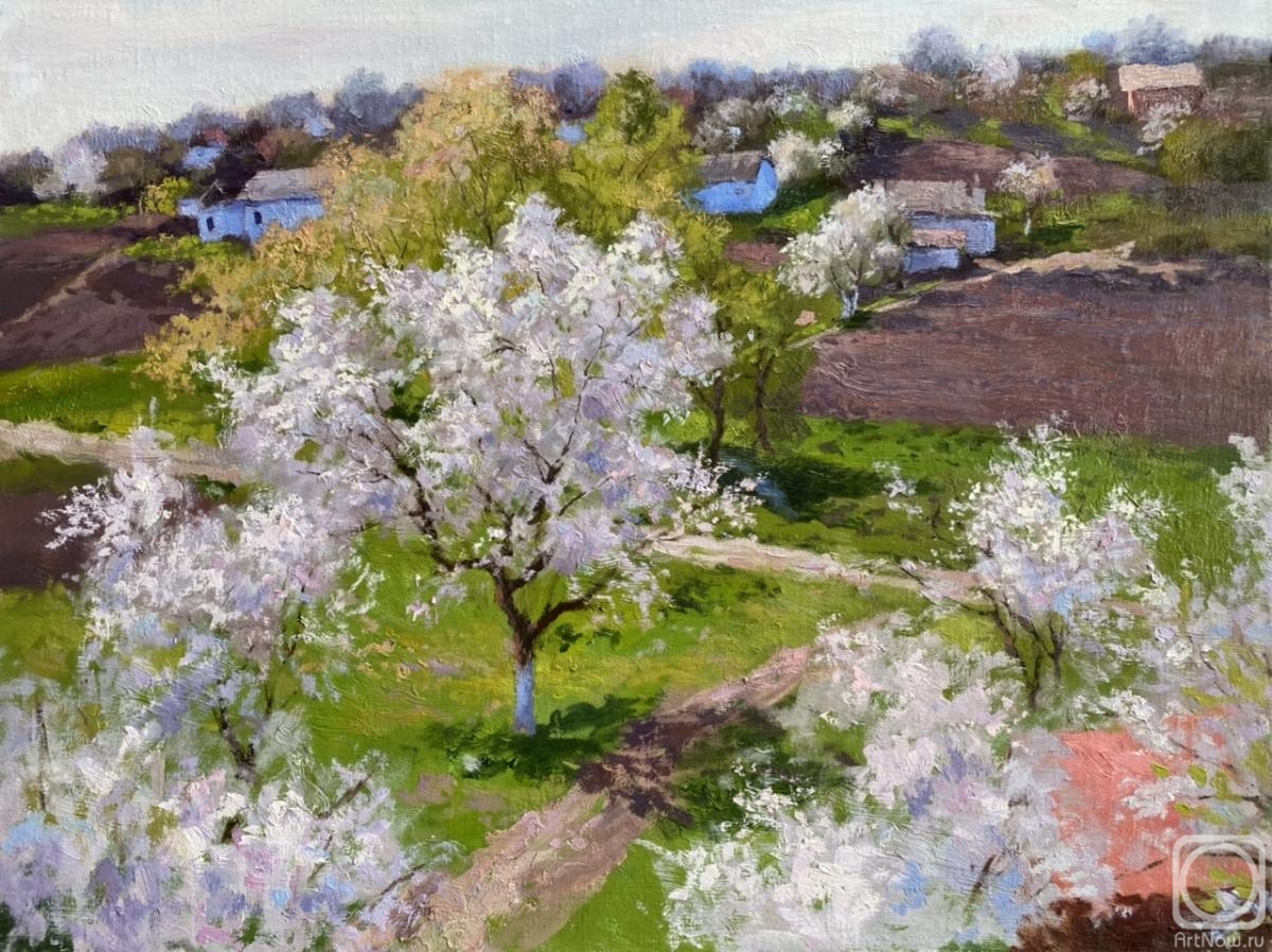 Nikolaev Yury. May. Gardens bloomed