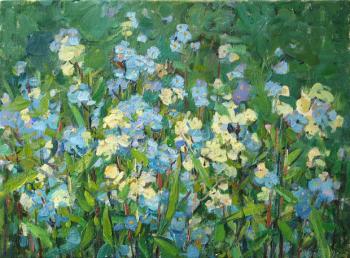 Flowers of a forget-me-not. Zhukova Juliya